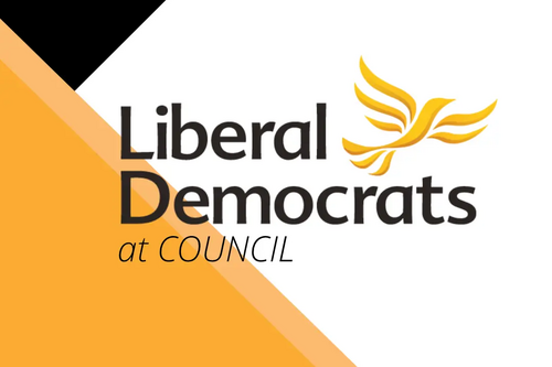 Lib Dems at Council logo